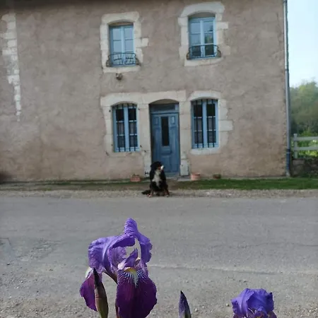 La Maison Du Meunier Avec Terrain De Petanque 度假居 *